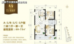 该项目交房的时候就带