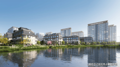 种活动形式植入糊口